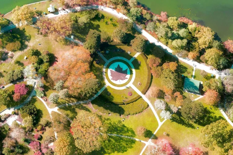 Vista aérea de um jardim circular com folha de bordo no centro, cercado por árvores coloridas.